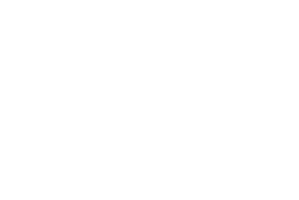 Volunteer-State-LOGO-WTEXT-001 (1) (2)